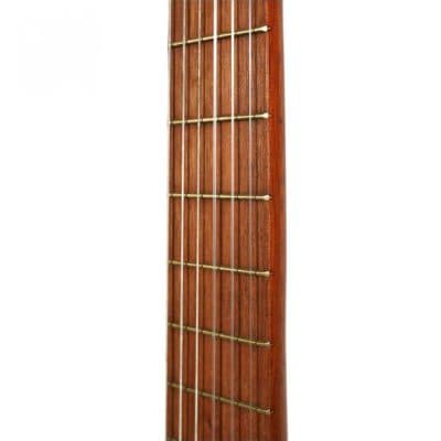 گیتار پارسی D6 — تصویر ۸