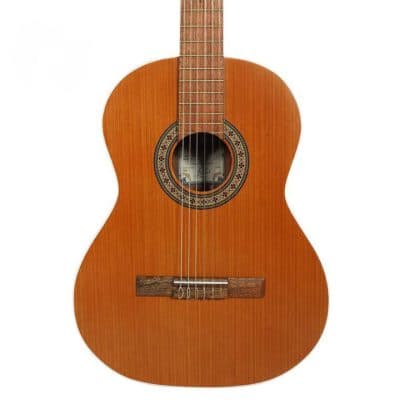 گیتار پارسی D6 — تصویر ۴