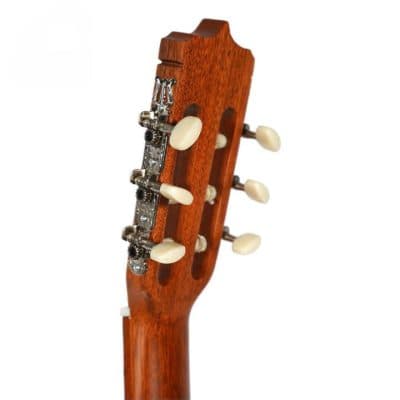 گیتار پارسی D6 — تصویر ۶