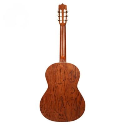 گیتار پارسی D6 — تصویر ۵
