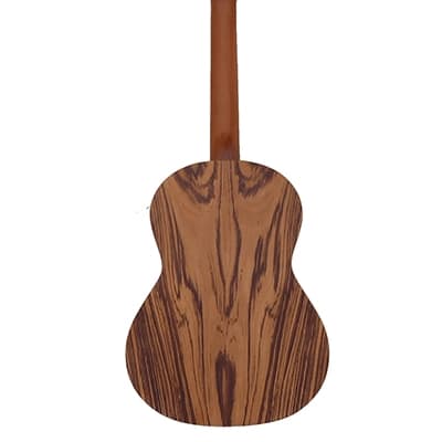 گیتار پارسی D3 — تصویر ۱۰