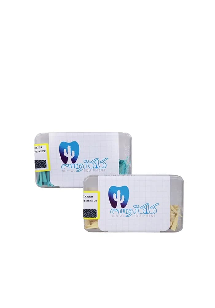وج چوبی Assorted کاکتوس