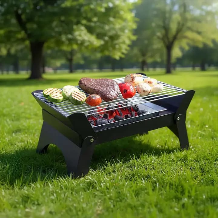 گریل باربیکیو گرین لاین مدل Qudra Foldable BBQ Grill GNQDRBBQSTBK