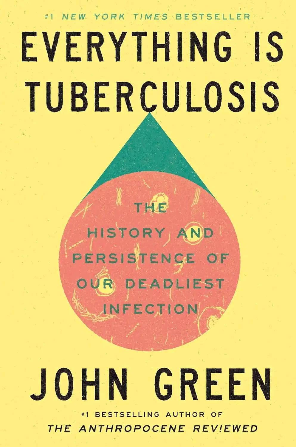کتاب Everything Is Tuberculosis (همه چیز سل است) نسخه انگلیسی PDF | جان گرین — تصویر ۲