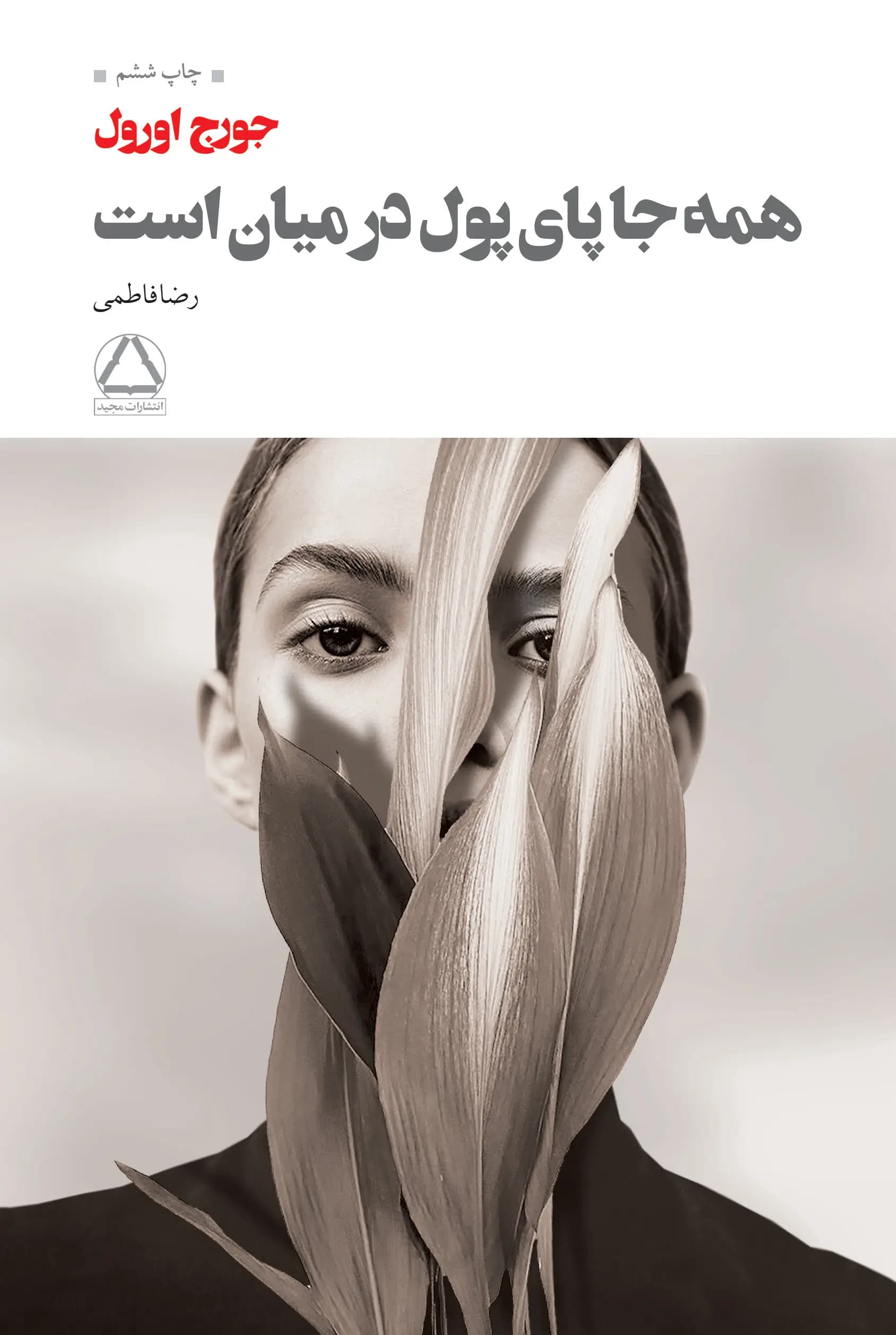 کتاب همه جا پای پول در میان است نشر مجید
