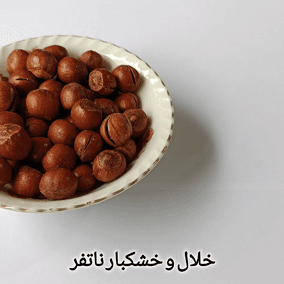 فندق با پوست شور ایرانی — تصویر ۹
