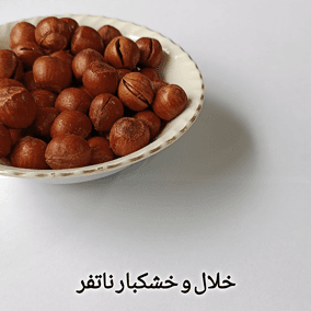 فندق با پوست شور ایرانی — تصویر ۸