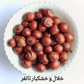 فندق با پوست شور ایرانی — تصویر ۳