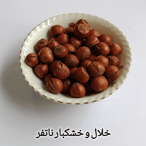 فندق با پوست شور ایرانی — تصویر ۶