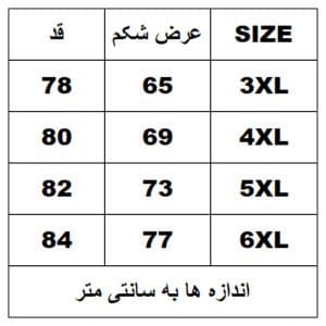 تیشرت سایز بزرگ نخ 28 کد6981 — تصویر ۵