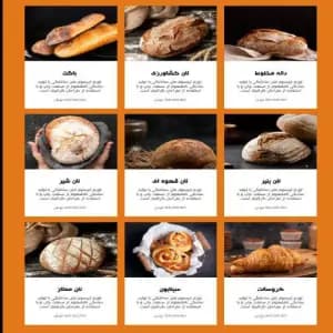طراحی سایت فروشگاهی قسطی
