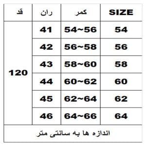 شلوار جین سایز بزرگ بگ کد6824 — تصویر ۳