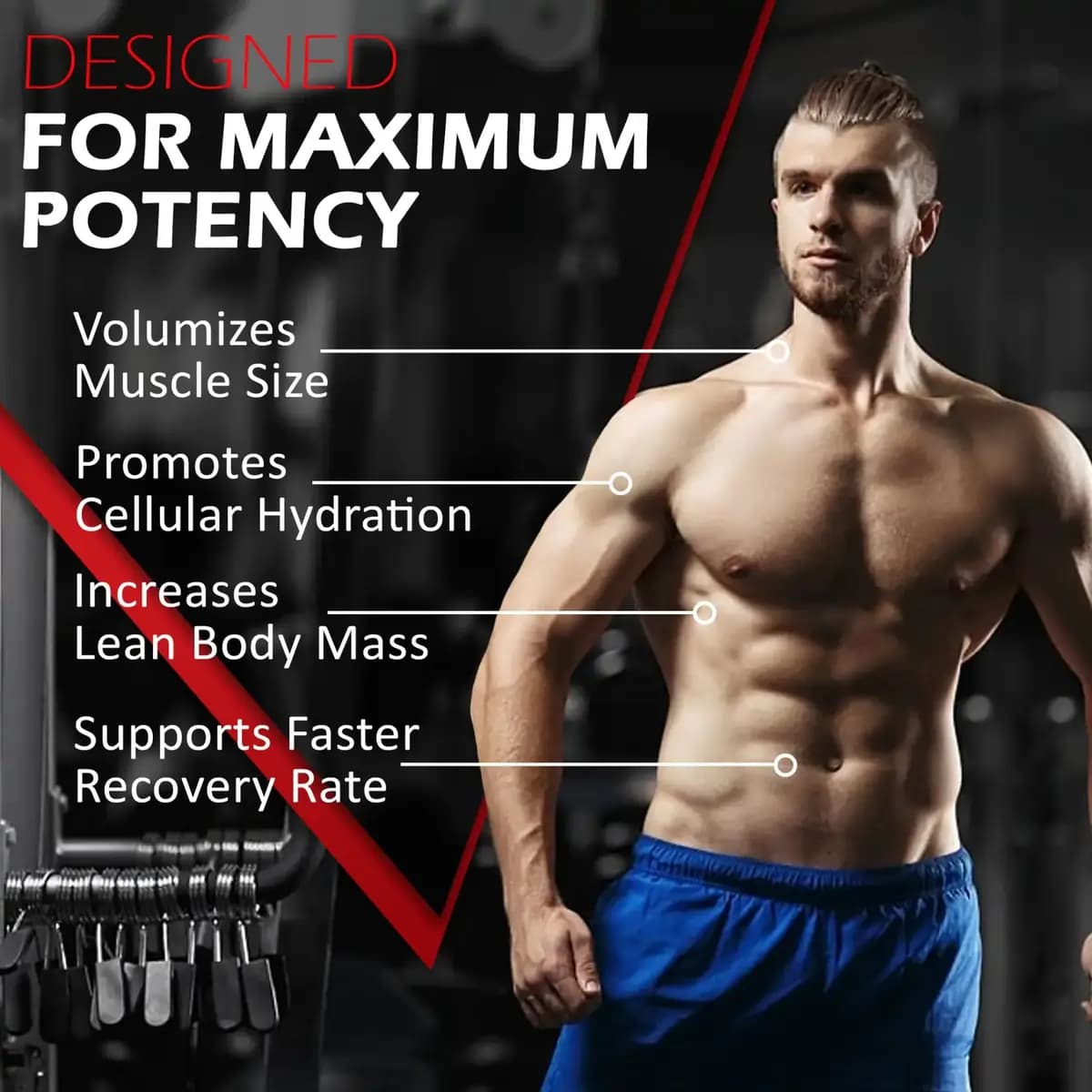 کراتین مونوهیدرات گالوانایز | Galvanize Creatine Monohydrate — تصویر ۴