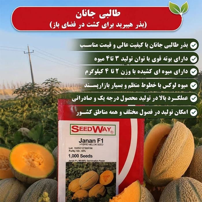 بذر طالبی جانان