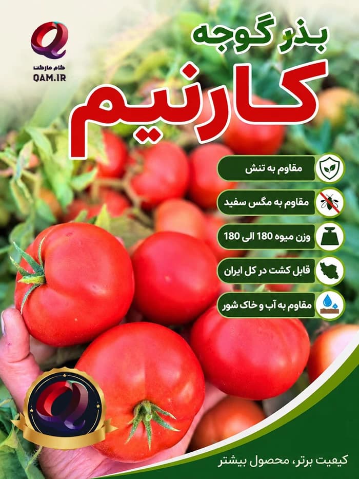 بذر گوجه فرنگی کارنیم — تصویر ۲