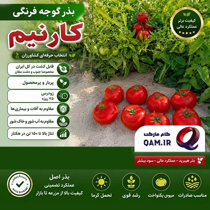 بذر گوجه فرنگی کارنیم
