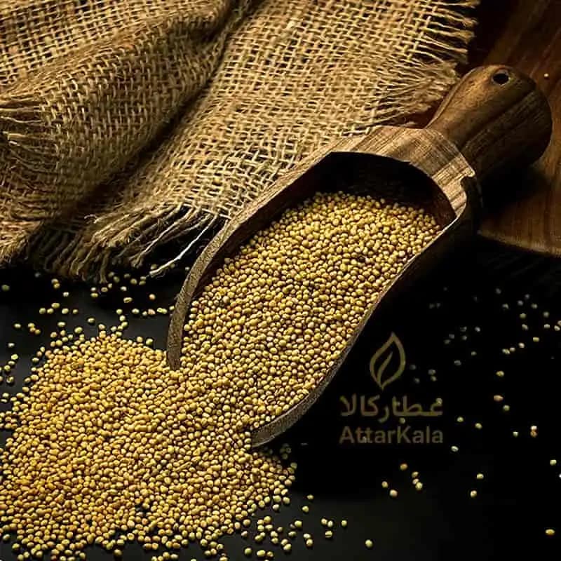 تخم خردل زرد خارجی