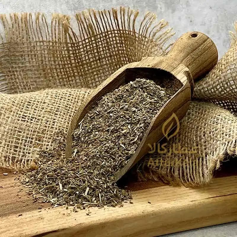 تخم هویج دارویی