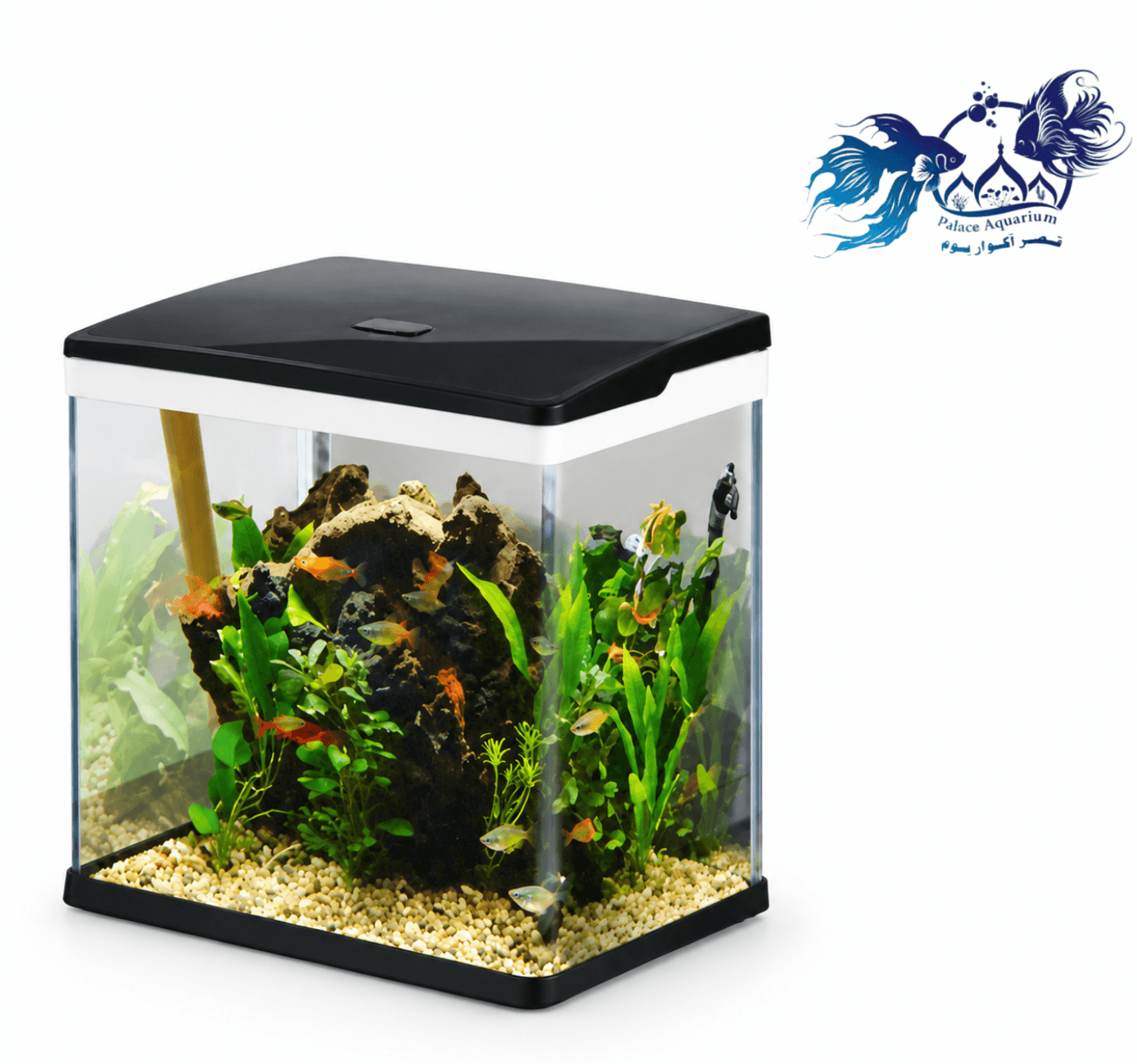 آکواریوم دلسا k500 بدون پایه