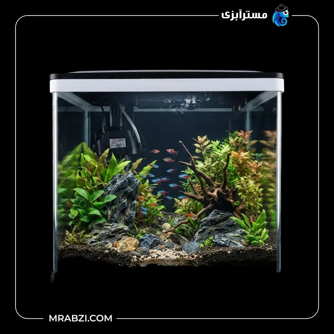 آکواریوم دلسا k500 بدون پایه — تصویر ۲