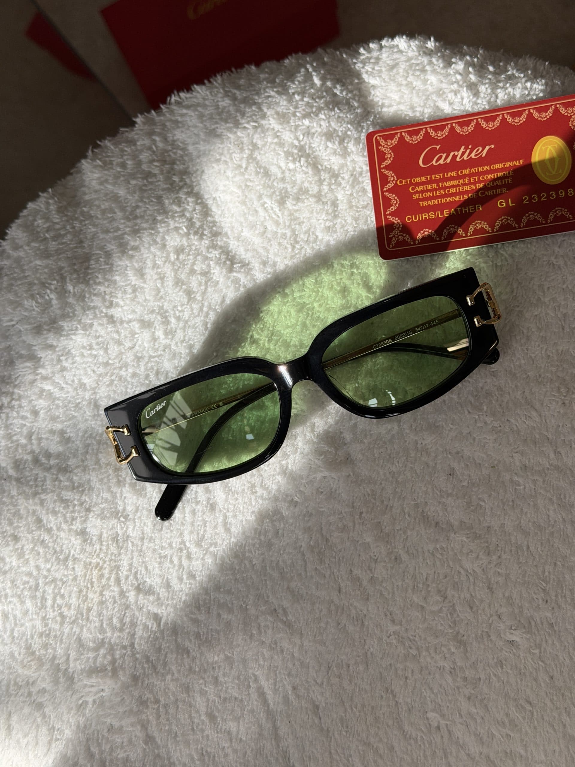 عینک کارتیهcartier — تصویر ۵