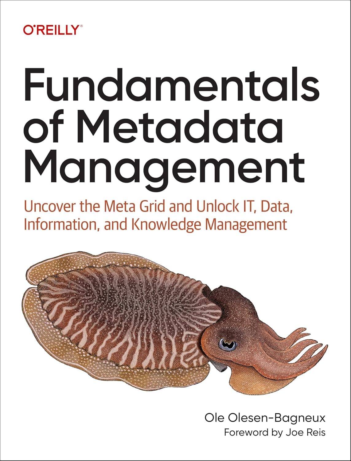 کتاب Fundamentals of Metadata Management نسخه انگلیسی PDF | Ole Olesen-Bagneux