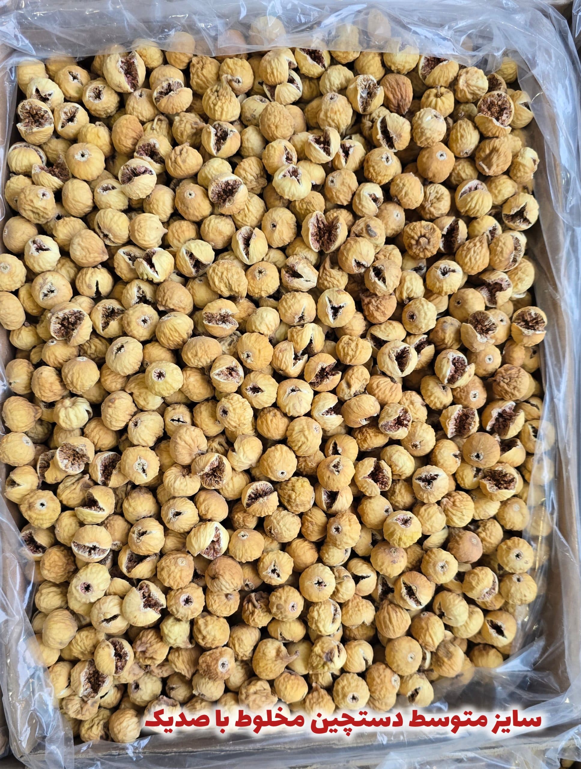 انجیر غنچه و صدیک سایز متوسط