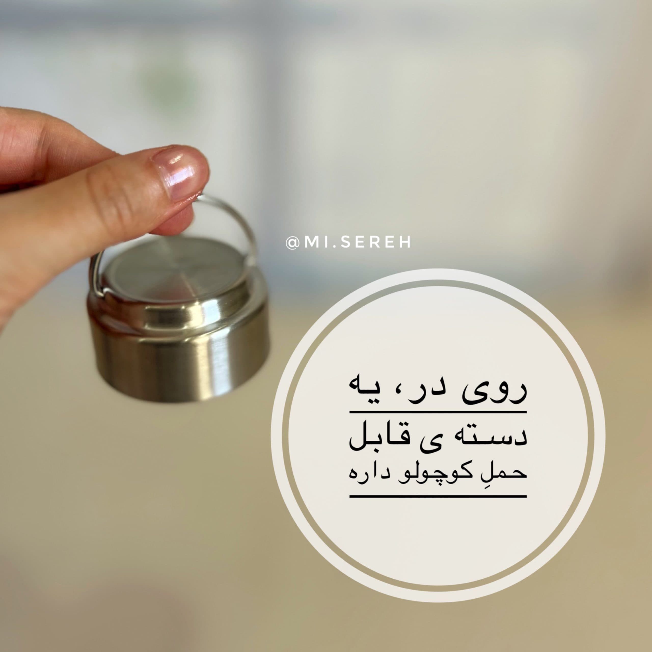 مینی فلاسک تایسو شیاردار ۲۷۰ میل — تصویر ۳
