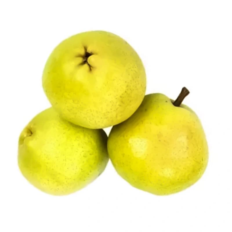 سیب سیبری