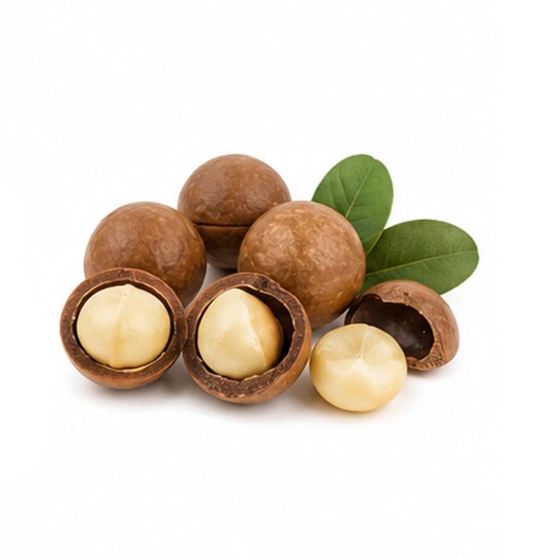 فندوق ماکادومیا