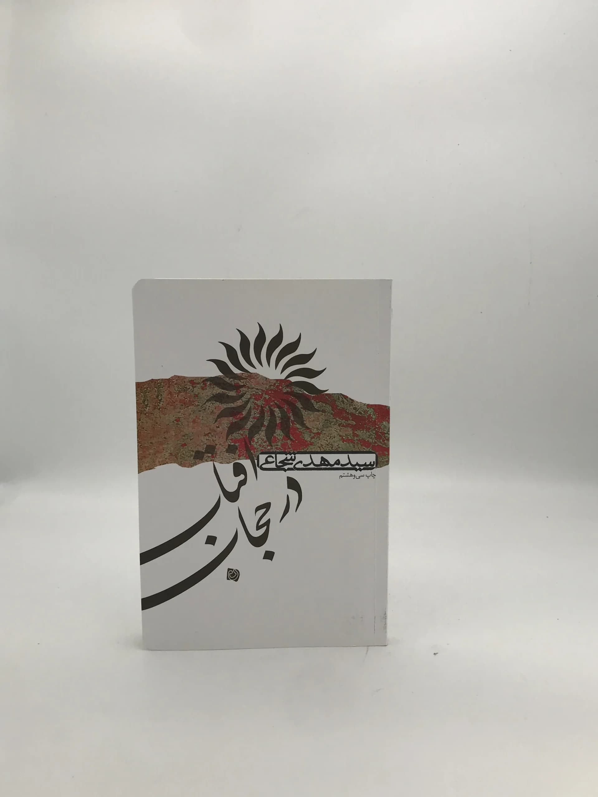 آفتاب در حجاب نوشته سید مهدی شجاعی
