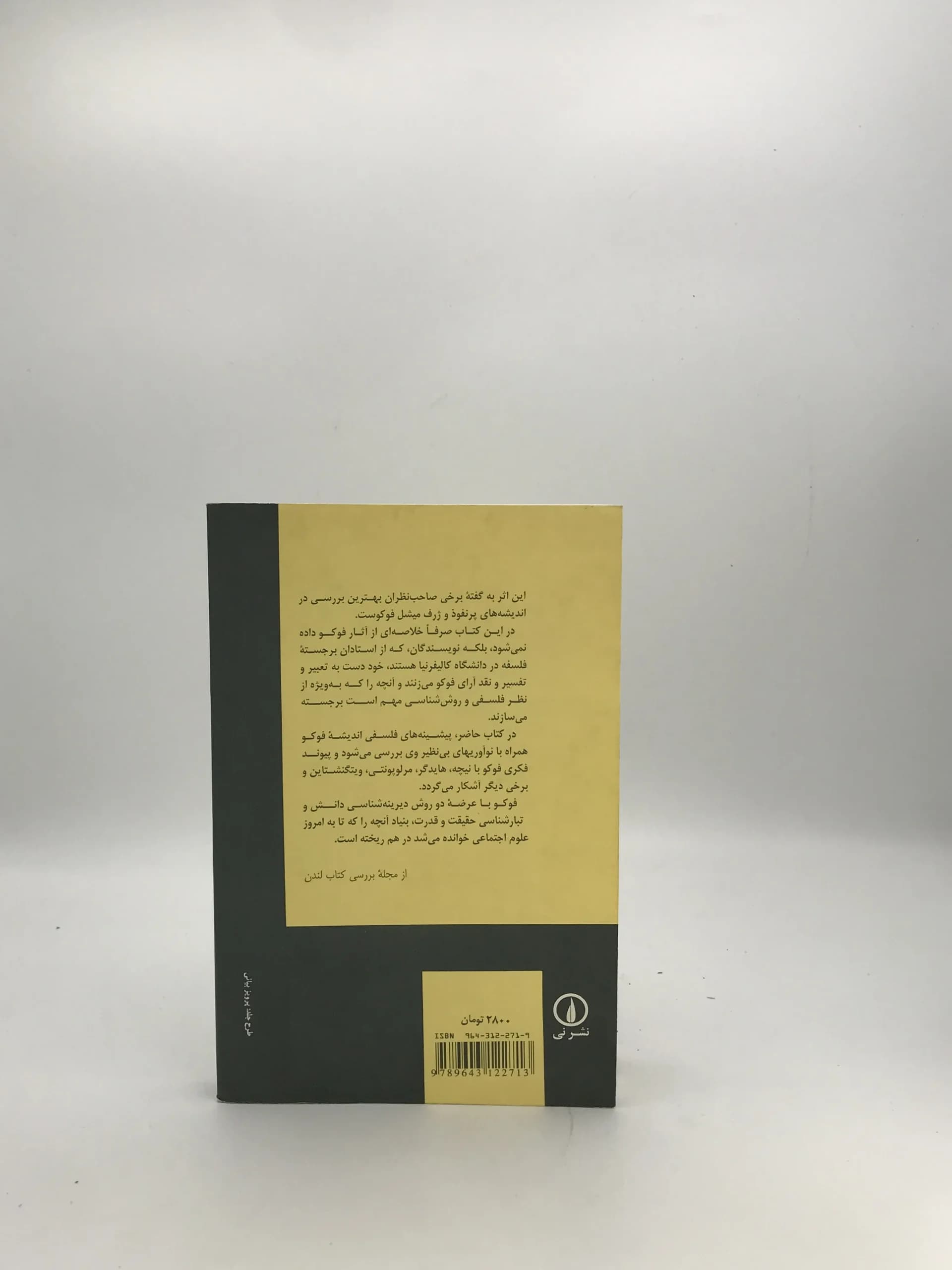 میشل فوکو اثر هیوبرت دریفوس — تصویر ۳