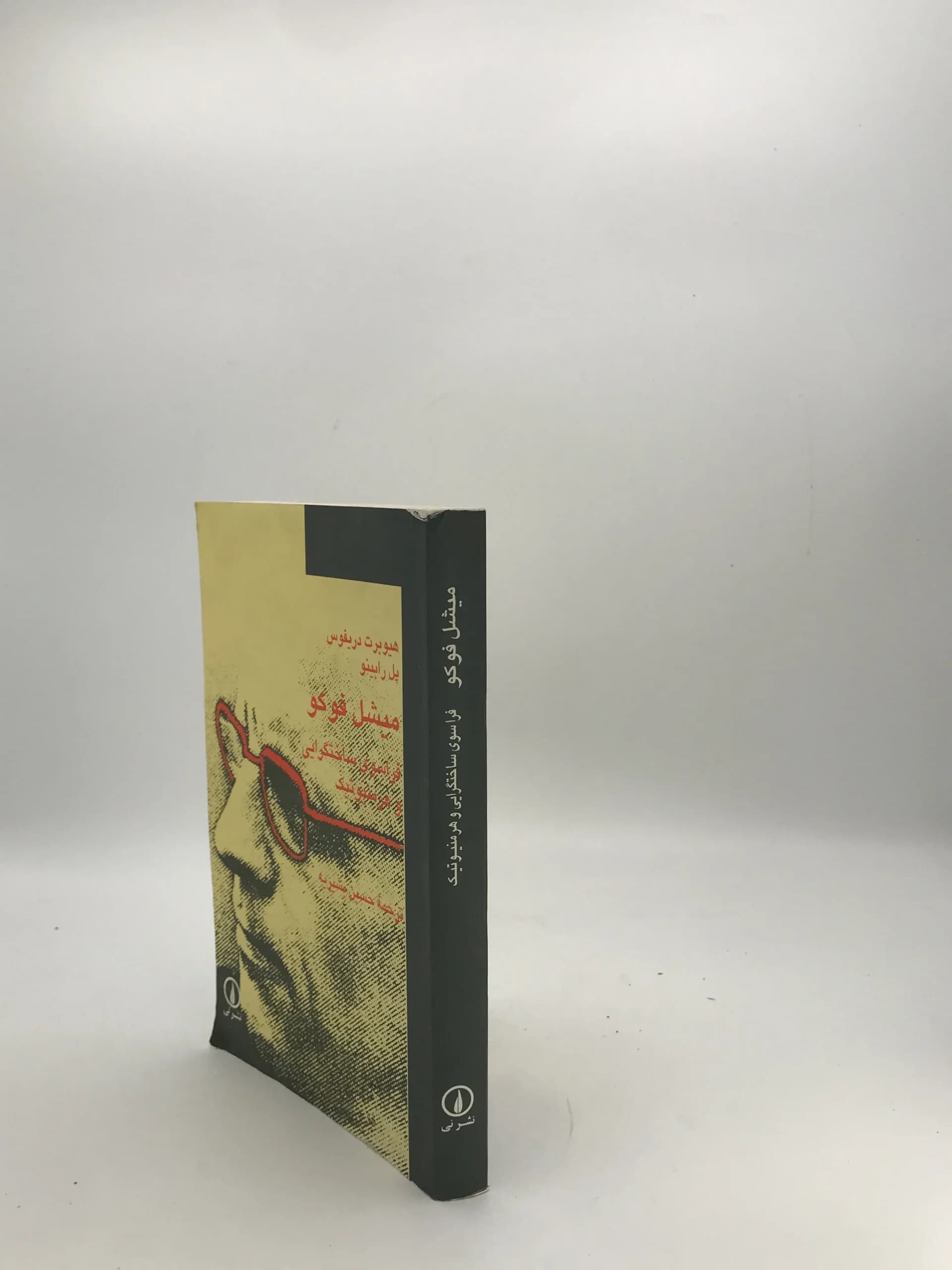 میشل فوکو اثر هیوبرت دریفوس — تصویر ۲