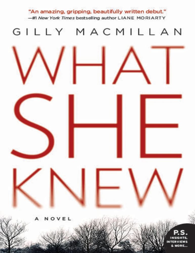 کتاب What She Knew Jim Clemo Book 1 (آنچه او می‌دانست؛ جیم کلمو کتاب 1) نسخه انگلیسی PDF | Gilly Macmillan