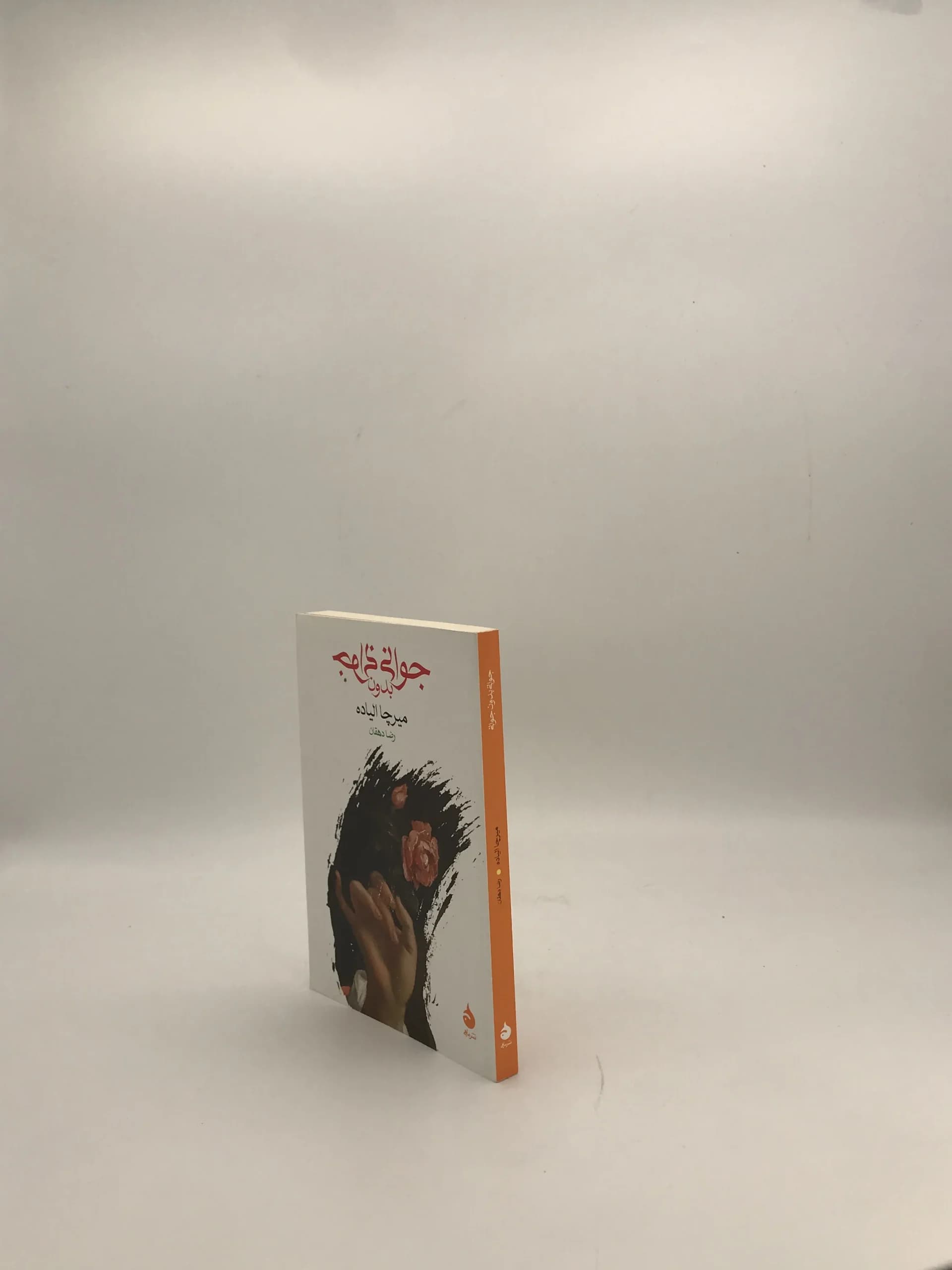 جوانی بدون جوانی نوشته میرچا الیاده — تصویر ۳