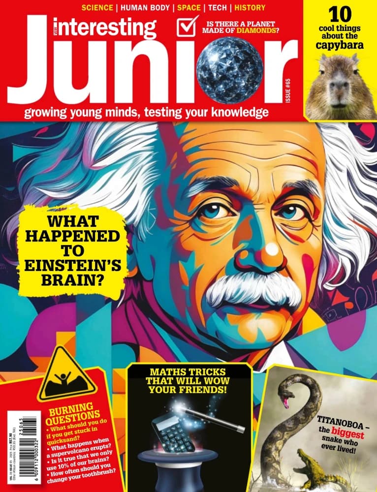 کتاب Very Interesting Junior Issue 65 2025 (خیلی جالب جونیور شماره 65 سال 2025) نسخه انگلیسی PDF | نامشخص