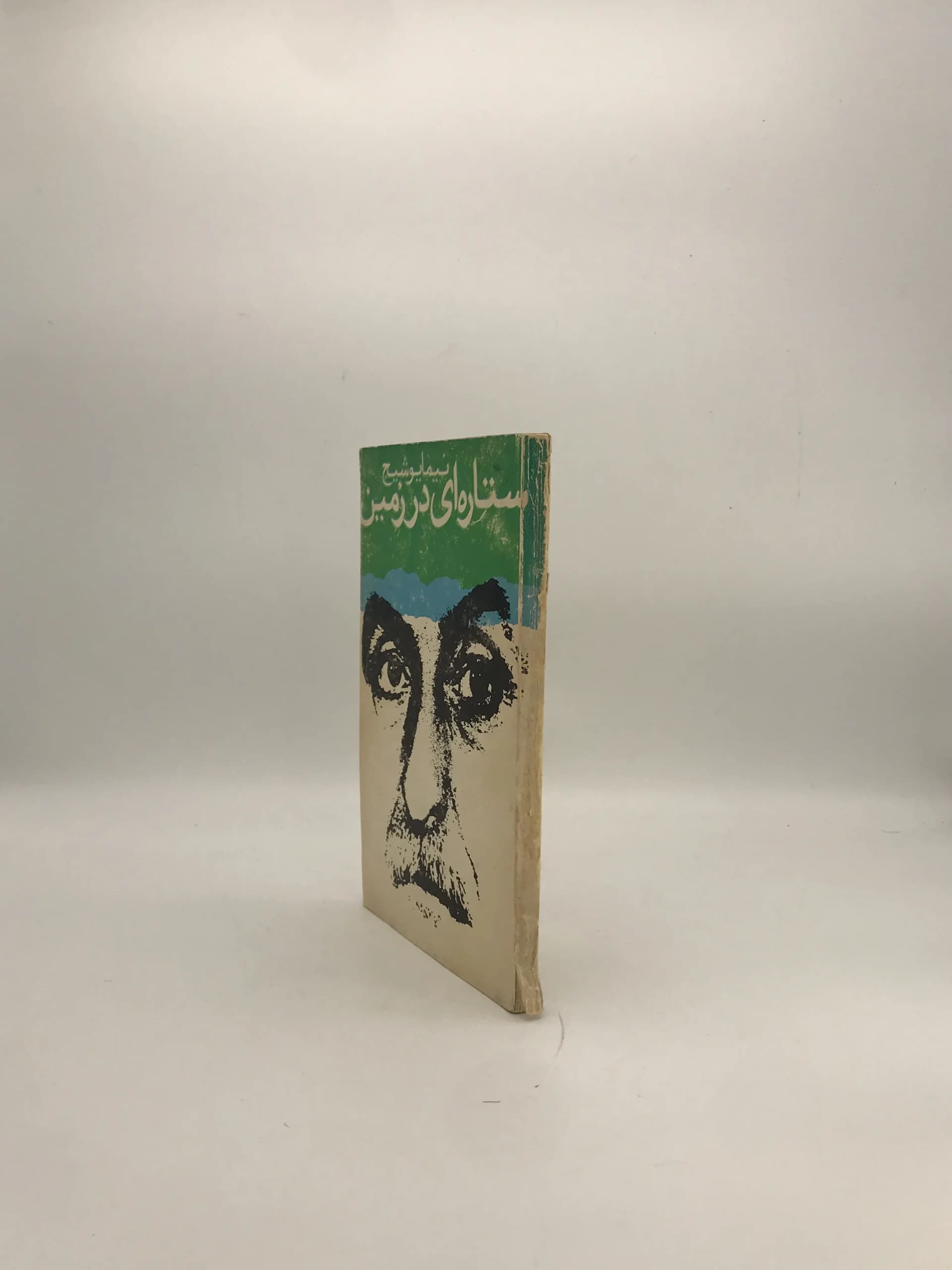 ستاره‌ای در زمین نوشته نیما یوشیج — تصویر ۳