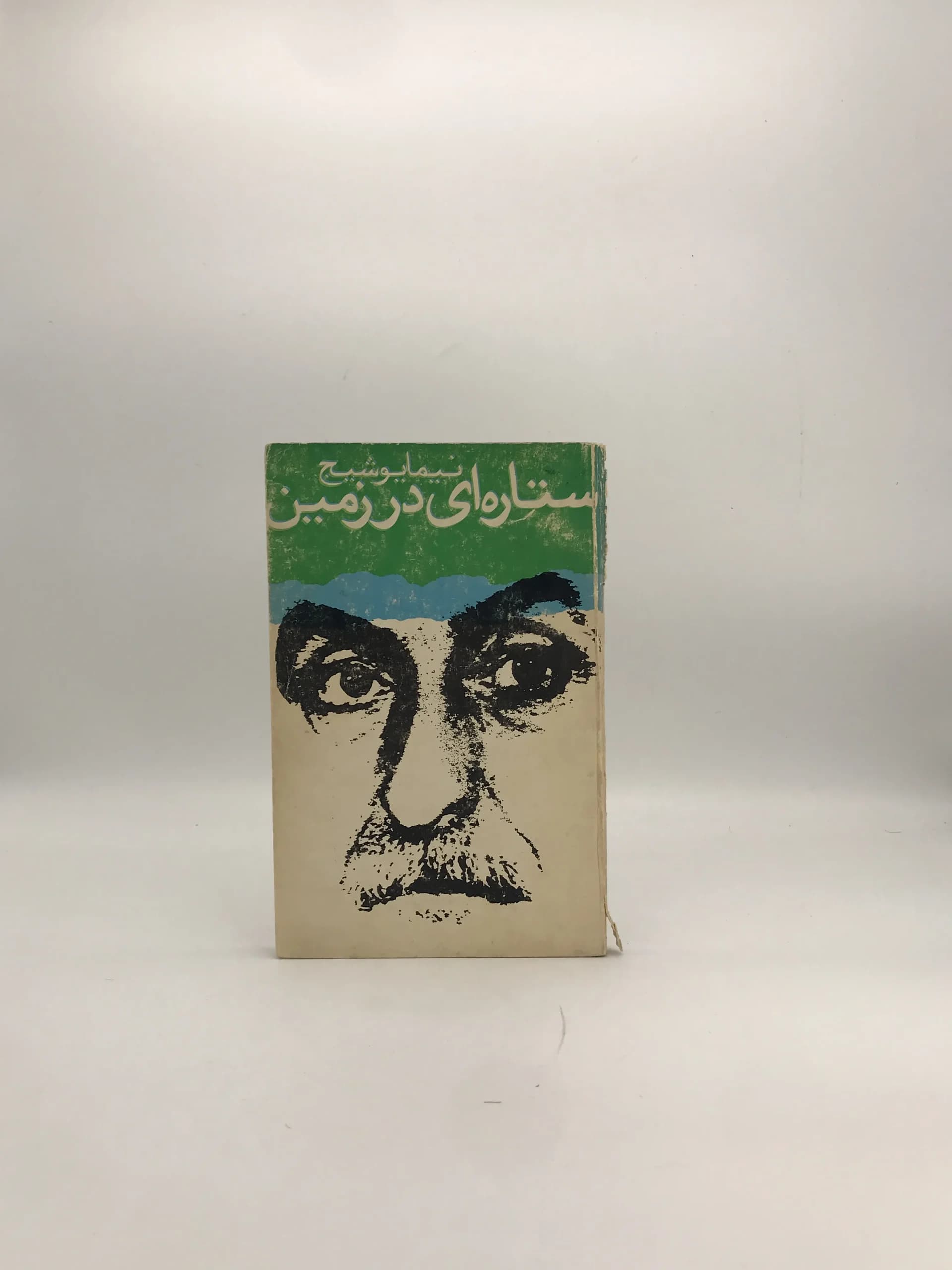 ستاره‌ای در زمین نوشته نیما یوشیج