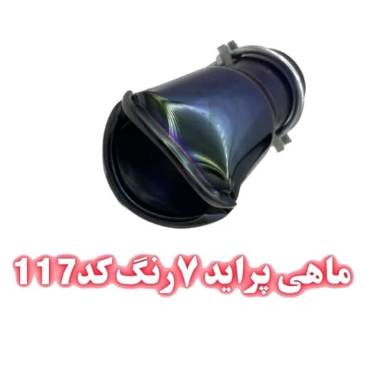 سر اگزوز ماهی پراید