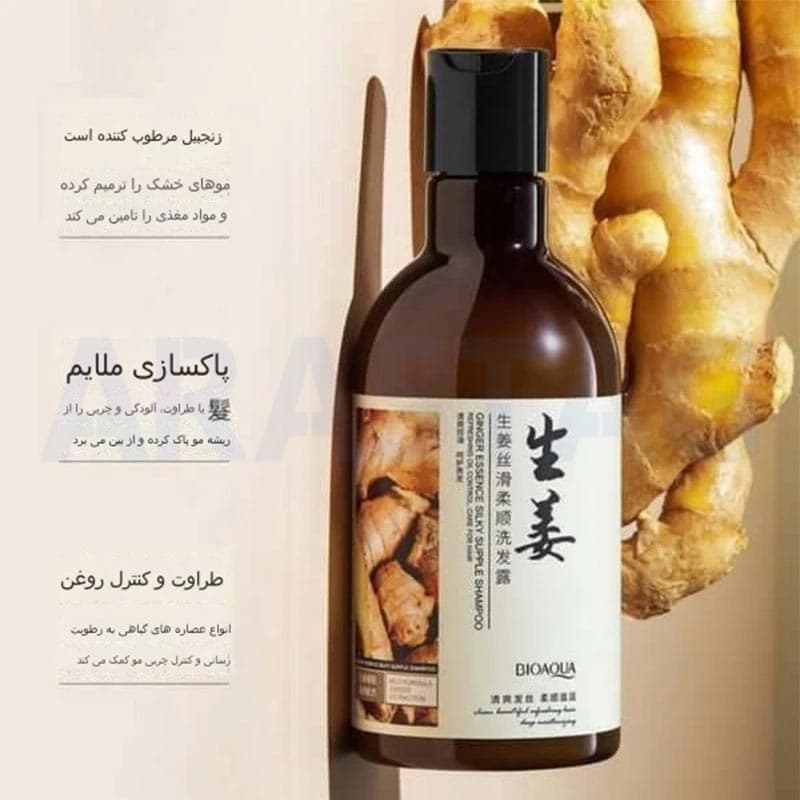 شامپو تقویت کننده و ضد ریزش مو بیوآکوا مدل زنجبیل حجم 250 میلی — تصویر ۲
