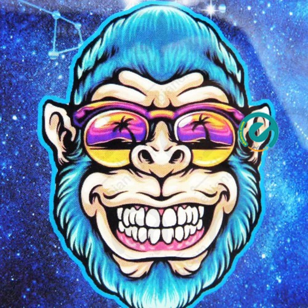 گلس شیشه ایی فول چسب مانکی شیائومی xiaomi mi 13 lite monkey — تصویر ۳