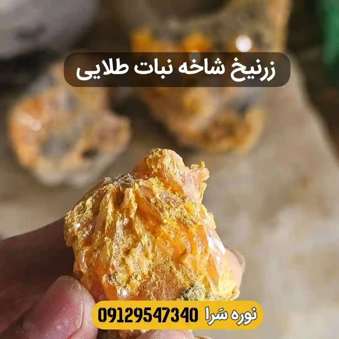 نوره زرنیخ دار طلایی | واجبی موبر سنتی — تصویر ۴