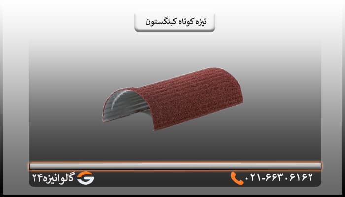 تیزه کوتاه ورق سنگریزه کینگستون — تصویر ۲