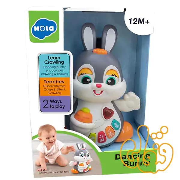 خرگوش موزیکال رقصنده هولی تویز Dancing Bunny HE9991