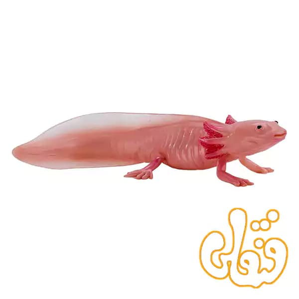 فیگور آکسولوتل سمندر مکزیکی موجو Axolotl 381108