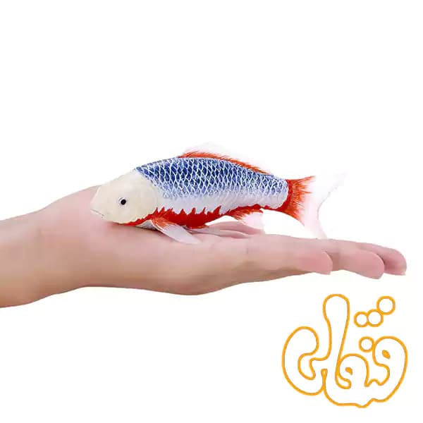 فیگور ماهی کوی کارپر – آساگی موجو Koi Carp – Asagi 381100 — تصویر ۷