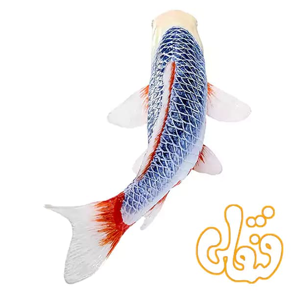 فیگور ماهی کوی کارپر – آساگی موجو Koi Carp – Asagi 381100 — تصویر ۵
