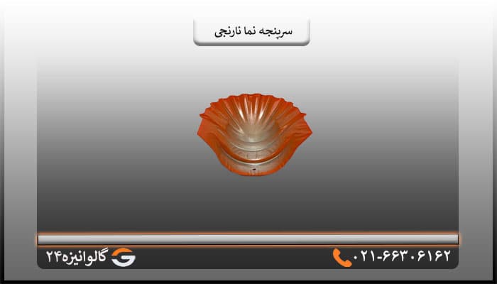 سرپنجه پرچین نارنجی — تصویر ۲