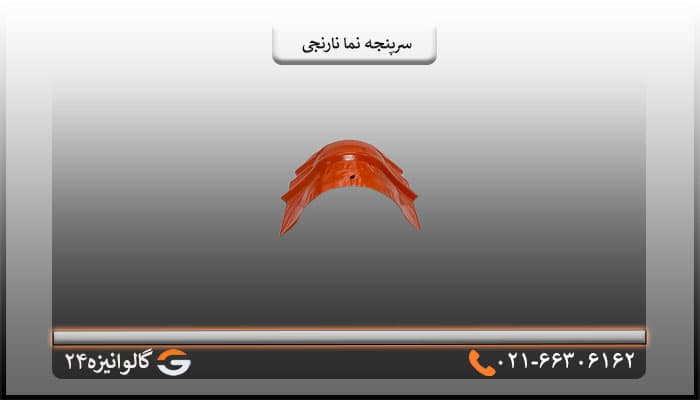 سرپنجه پرچین نارنجی — تصویر ۵