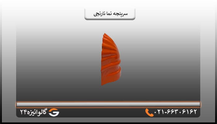 سرپنجه پرچین نارنجی — تصویر ۳